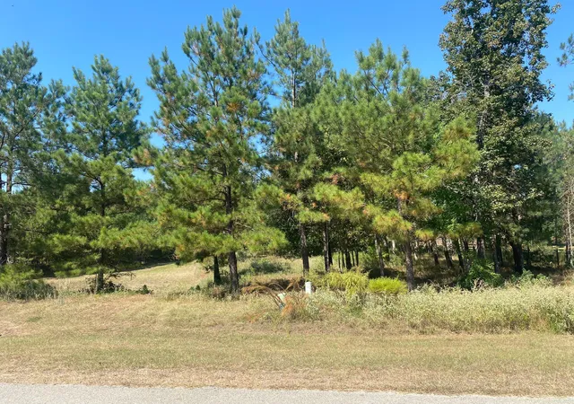 Photo 2 of Land for sale at 393 Ridge Lake Scenic Dr, Montgomery, TX 77316 | MLS# 85570604 | Listing updated on 2026-08-18