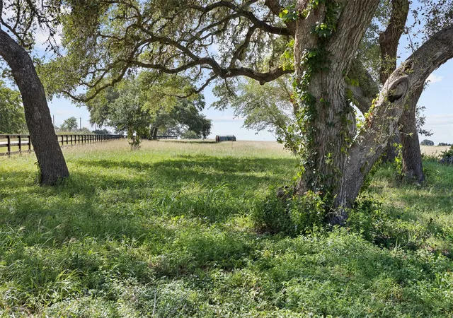 Photo 3 of Land for sale at Tbd W Fm 1291 Tract 2, Round Top, TX 78954 | MLS# 64681300 | Listing updated on 2026-07-03
