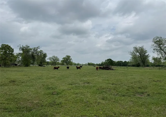 1st image of 0 E Alabama St, Wharton, TX 77488 | MLS# 56411257