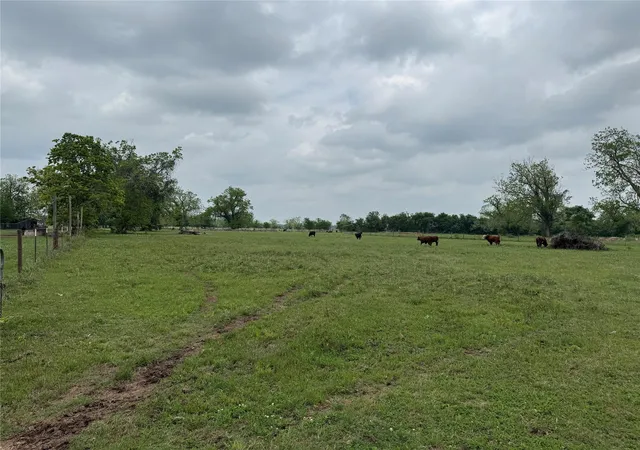 3rd image of 0 E Alabama St, Wharton, TX 77488 | MLS# 56411257