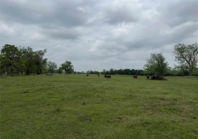 4th image of 0 E Alabama St, Wharton, TX 77488 | MLS# 56411257