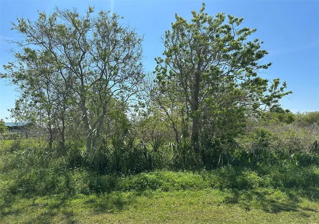 Photo 1 of Land for sale at 819 Highway 87, Gilchrist, TX 77617 | MLS# 51849783 | Listing updated on 2026-08-18