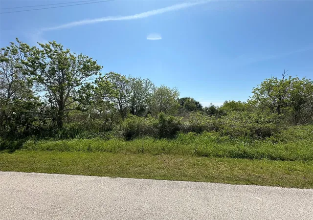 Photo 3 of Land for sale at 819 Highway 87, Gilchrist, TX 77617 | MLS# 51849783 | Listing updated on 2026-08-18