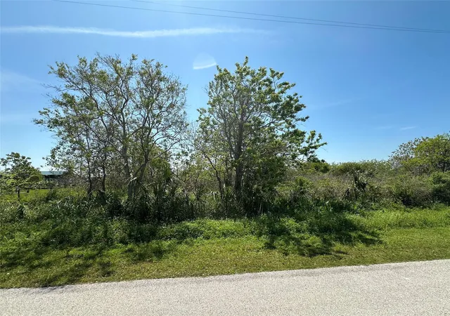 Photo 3 of Land for sale at 819 Highway 87, Gilchrist, TX 77617 | MLS# 51849783 | Listing updated on 2026-08-18