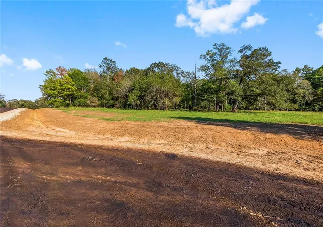 1st image of 6016 Alans Memorial Ln, New Waverly, TX 77358 | MLS# 60670532