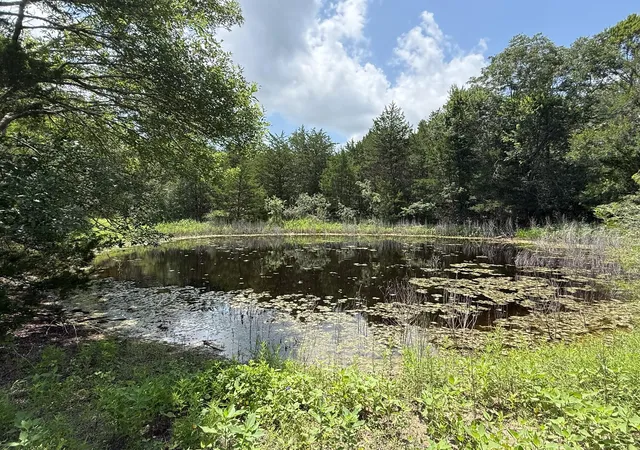 5th image of 1359 County Road 208, Weimar, TX 78962 | MLS# 58315280