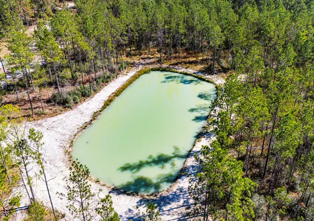 12th image of 028 King Ranch Rd, Onalaska, TX 77360 | MLS# 69694118
