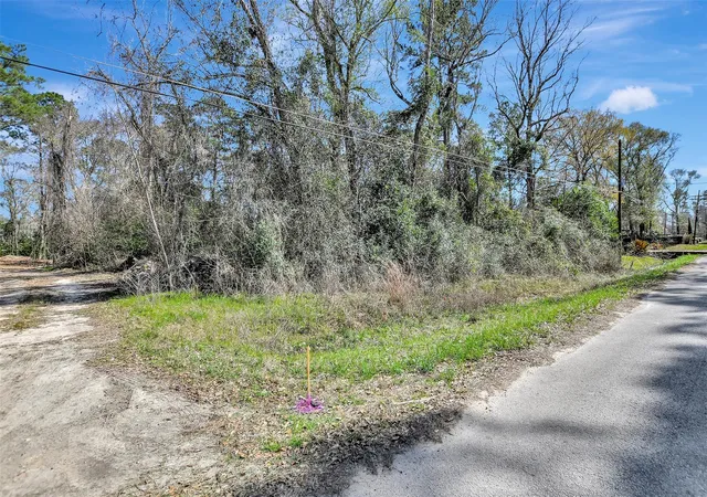 Homes for sale in Conroe, TX | Tbd Lot 112 White Birch Ln, Conroe, TX 77385 | MLS# 10296979