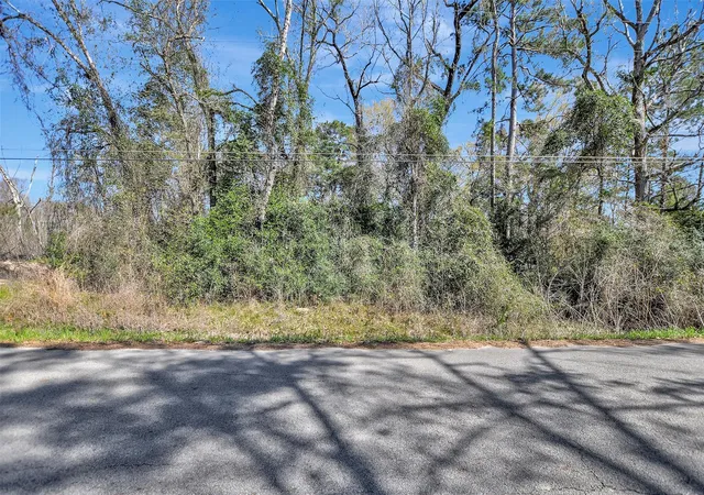 Homes for sale in Conroe, TX | Tbd Lot 112 White Birch Ln, Conroe, TX 77385 | MLS# 10296979
