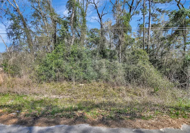 Homes for sale in Conroe, TX | Tbd Lot 112 White Birch Ln, Conroe, TX 77385 | MLS# 10296979