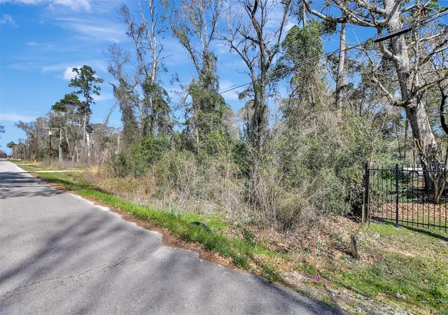 Homes for sale in Conroe, TX | Tbd Lot 112 White Birch Ln, Conroe, TX 77385 | MLS# 10296979
