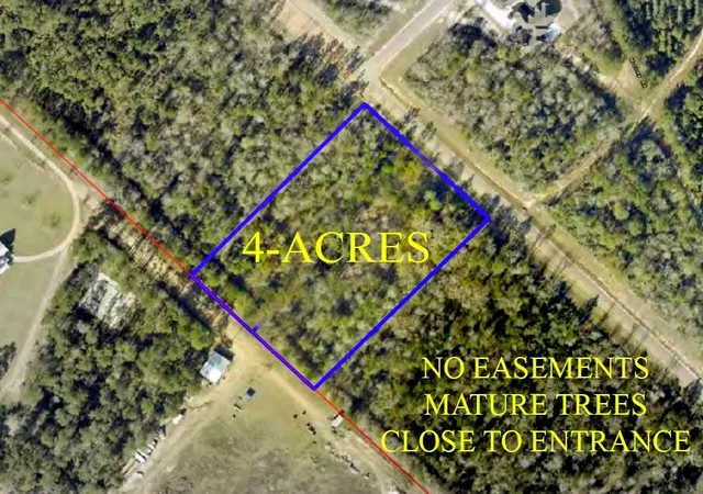 Photo 3 of Land for sale at 11652 Grand N Rd, Willis, TX 77358 | MLS# 75214969 | Listing updated on 2026-09-14