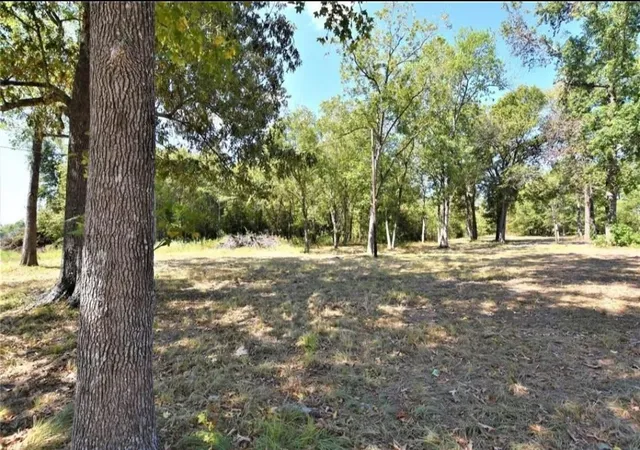 Photo 4 of Land for sale at Tbd Highway 105, Hardin, TX 77575 | MLS# 73761906 | Listing updated on 2026-04-19