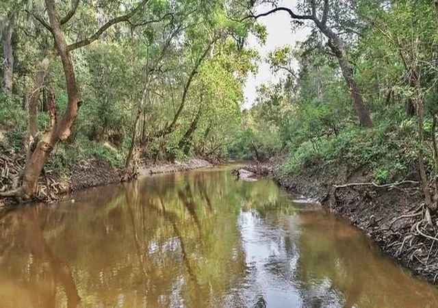 Photo 1 of Land for sale at 2698 County Rd 284, Edna, TX 77957 | MLS# 14028605 | Listing updated on 2026-08-26