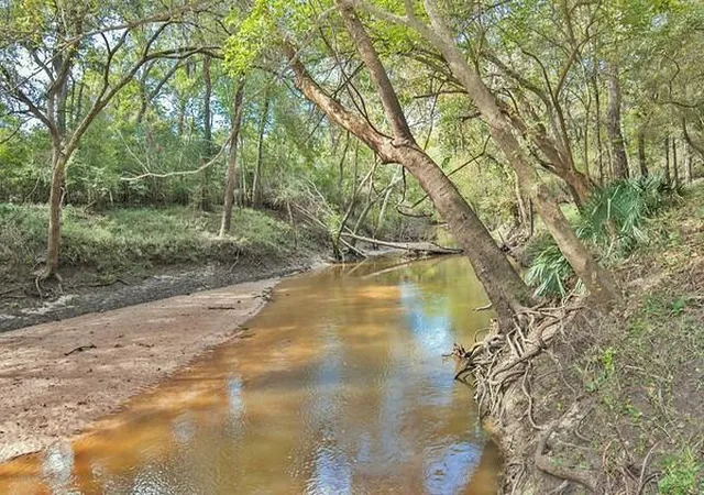 Photo 3 of Land for sale at 2698 County Rd 284, Edna, TX 77957 | MLS# 14028605 | Listing updated on 2026-08-26