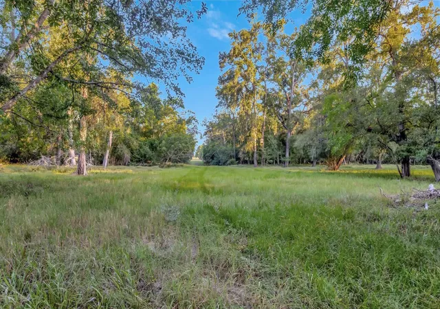Photo 4 of Land for sale at 2698 County Rd 284, Edna, TX 77957 | MLS# 14028605 | Listing updated on 2026-08-26