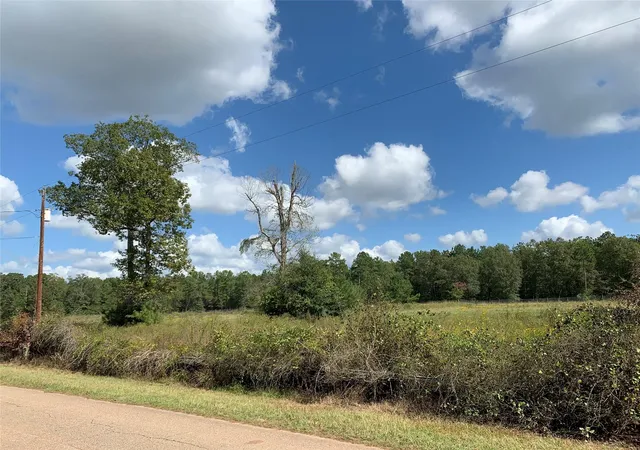 2nd image of Tbd Jernigan Rd, Conroe, TX 77306 | MLS# 3623237