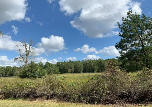 3rd image of Tbd Jernigan Rd, Conroe, TX 77306 | MLS# 3623237
