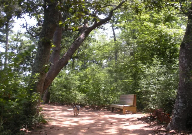 Photo 1 of Land for sale at 10039 Fm 787 Rd W, Cleveland, TX 77327 | MLS# 98242829 | Listing updated on 2026-10-05