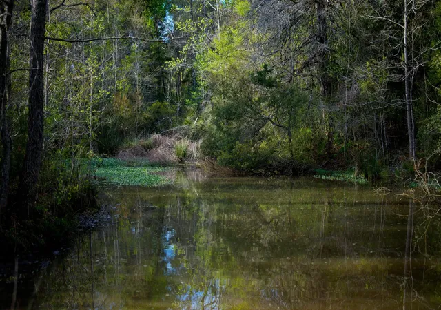 1st image of 3773 W Sh 7, Crockett, TX 75835 | MLS# 65061120