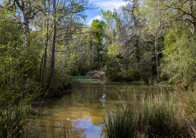 2nd image of 3773 W Sh 7, Crockett, TX 75835 | MLS# 65061120