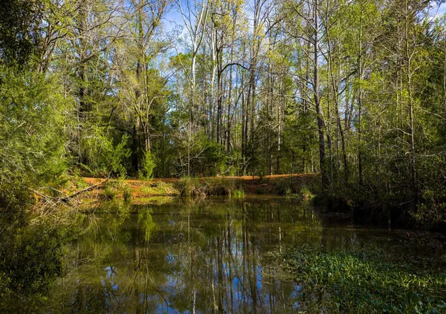 3rd image of 3773 W Sh 7, Crockett, TX 75835 | MLS# 65061120