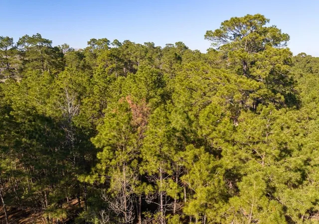 9th image of 1 Fm 1725, Willis, TX 77378 | MLS# 79802621