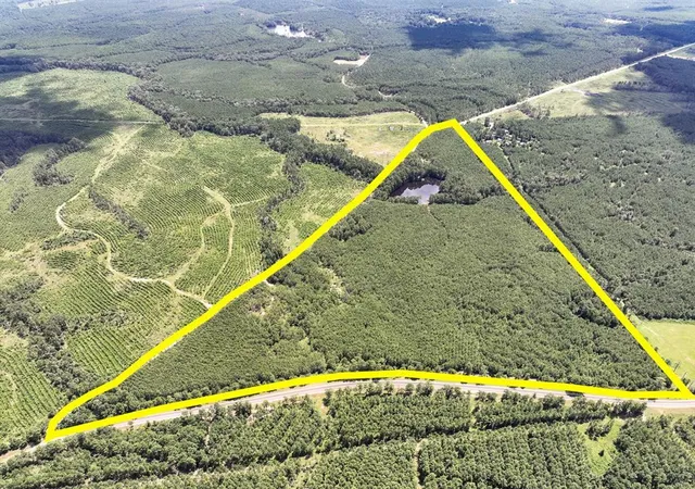 1st image of 000000 Farm To Market 352, Corrigan, TX 77351 | MLS# 98496089