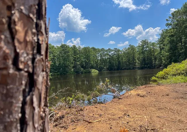 20th image of 000000 Farm To Market 352, Corrigan, TX 77351 | MLS# 98496089