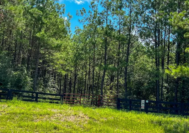 2nd image of 000000 Farm To Market 352, Corrigan, TX 77351 | MLS# 98496089