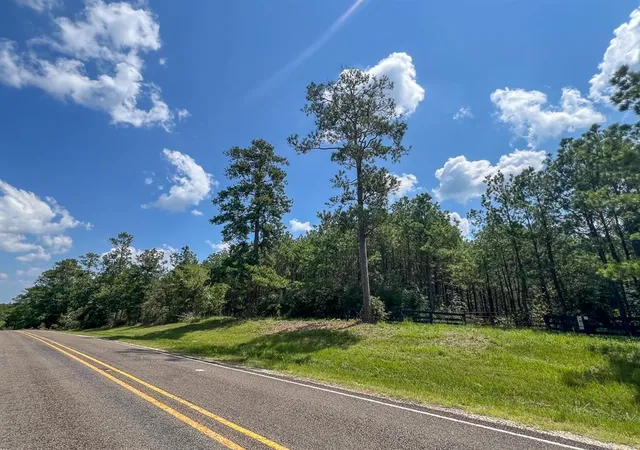 3rd image of 000000 Farm To Market 352, Corrigan, TX 77351 | MLS# 98496089