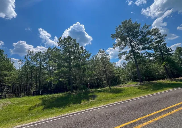 4th image of 000000 Farm To Market 352, Corrigan, TX 77351 | MLS# 98496089