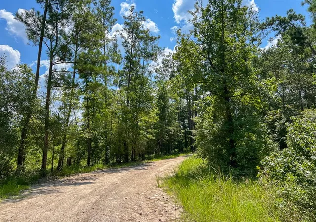 5th image of 000000 Farm To Market 352, Corrigan, TX 77351 | MLS# 98496089