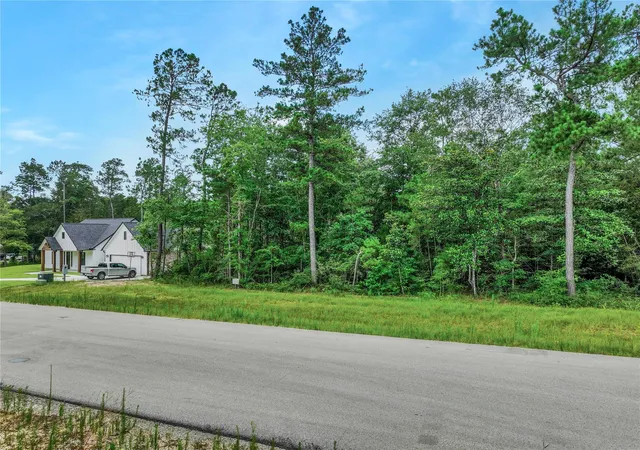 Photo 2 of Land for sale at 103 Eagle Run Rd, Willis, TX 77378 | MLS# 36832570 | Listing updated on 2026-07-23