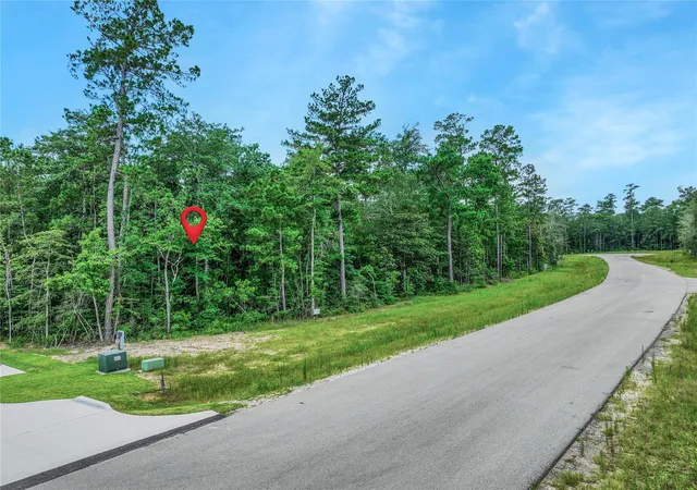 Photo 2 of Land for sale at 103 Eagle Run Rd, Willis, TX 77378 | MLS# 36832570 | Listing updated on 2026-07-23