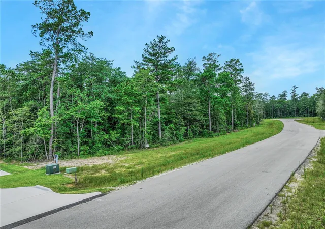 Photo 3 of Land for sale at 103 Eagle Run Rd, Willis, TX 77378 | MLS# 36832570 | Listing updated on 2026-07-23