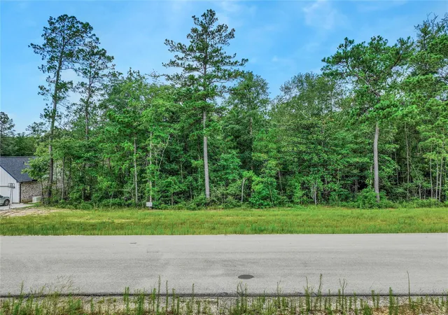 Photo 4 of Land for sale at 103 Eagle Run Rd, Willis, TX 77378 | MLS# 36832570 | Listing updated on 2026-07-23