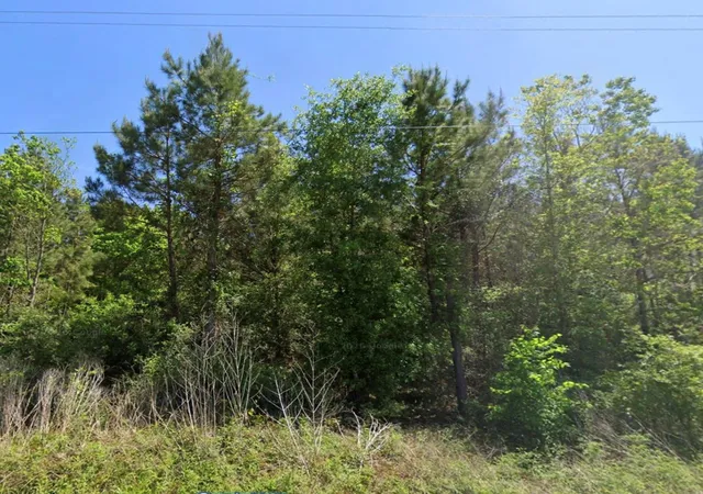 3rd image of 0 Duff Rd, Livingston, TX 77351 | MLS# 61990931