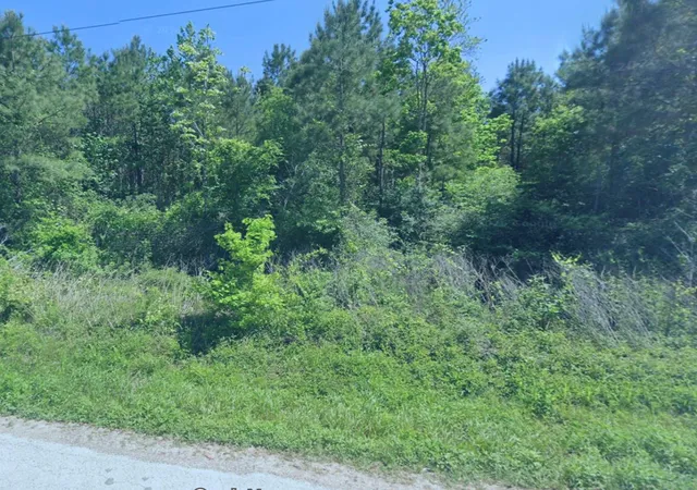 4th image of 0 Duff Rd, Livingston, TX 77351 | MLS# 61990931