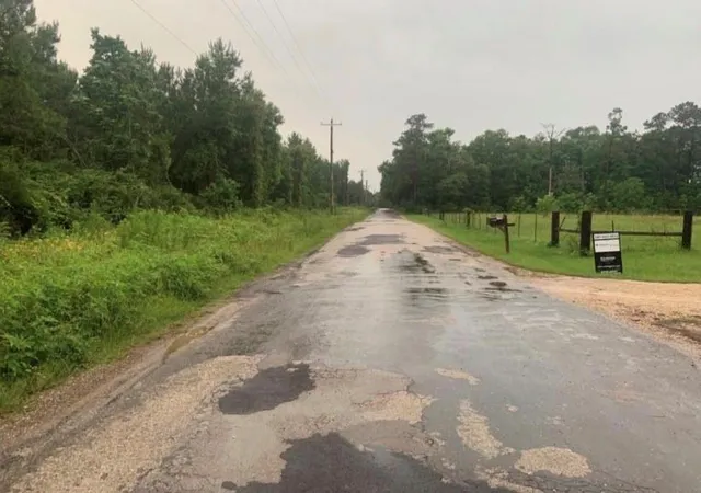5th image of 0 Duff Rd, Livingston, TX 77351 | MLS# 61990931