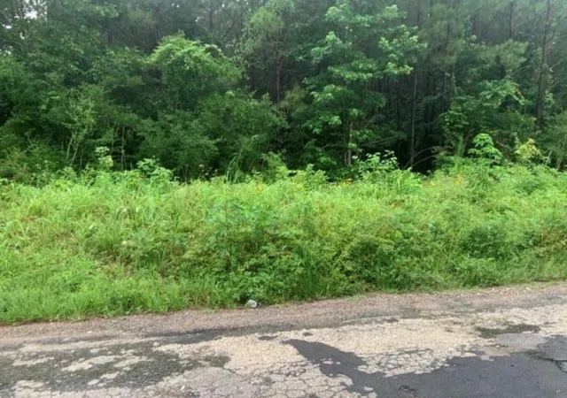 6th image of 0 Duff Rd, Livingston, TX 77351 | MLS# 61990931