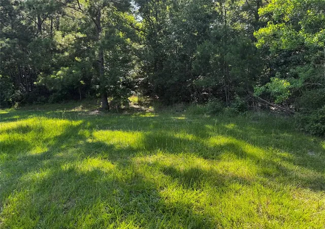 3rd image of Tbd Whisperwood Lots 64,65,70, Onalaska, TX 77360 | MLS# 84970186