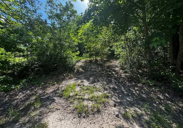 5th image of Tbd Whisperwood Lots 64,65,70, Onalaska, TX 77360 | MLS# 84970186