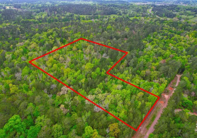 Photo 3 of Land for sale at 433 Saddle Surrey Ln, Coldspring, TX 77331 | MLS# 11430492 | Listing updated on 2026-08-27