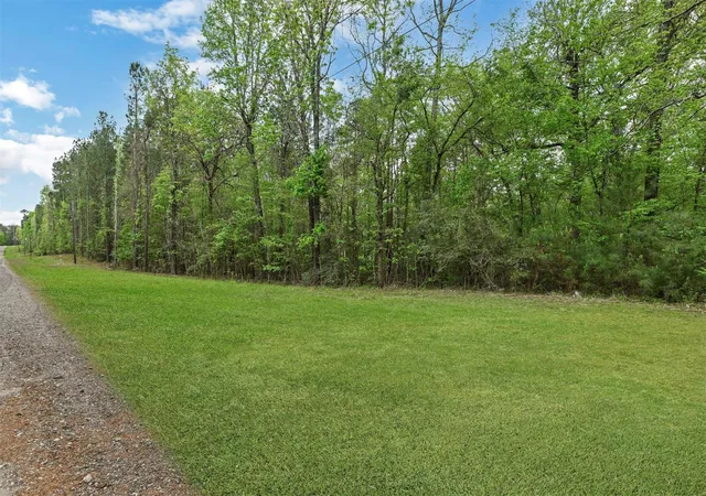 Photo 8 of Land for sale at 433 Saddle Surrey Ln, Coldspring, TX 77331 | MLS# 11430492 | Listing updated on 2026-08-27