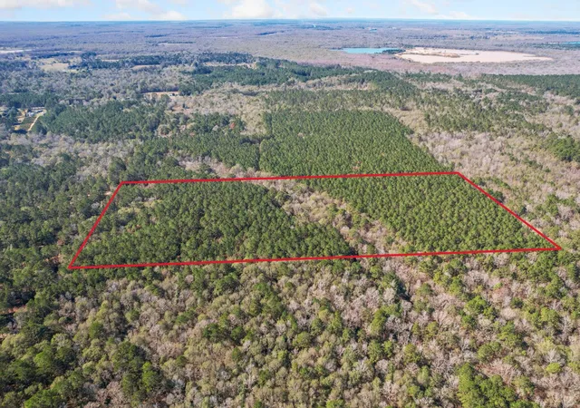 Photo 2 of Land for sale at 473 County Rd 2125, Cleveland, TX 77327 | MLS# 23326556 | Listing updated on 2026-07-06