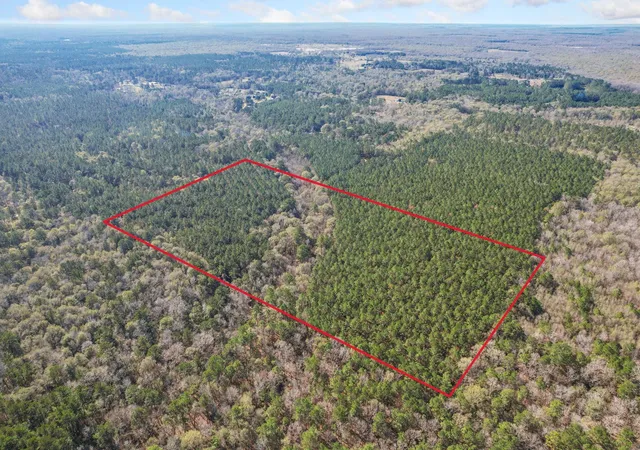 Photo 3 of Land for sale at 473 County Rd 2125, Cleveland, TX 77327 | MLS# 23326556 | Listing updated on 2026-07-06