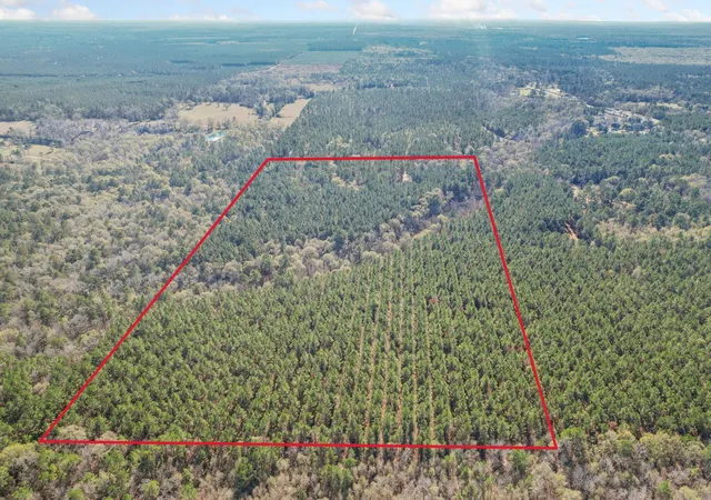 Photo 3 of Land for sale at 473 County Rd 2125, Cleveland, TX 77327 | MLS# 23326556 | Listing updated on 2026-07-06
