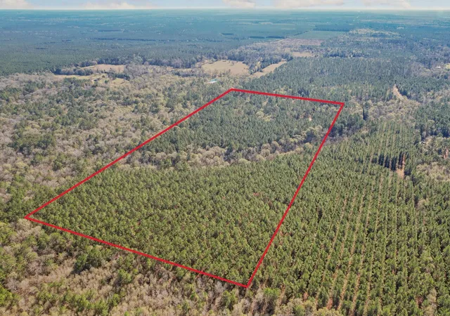 Photo 4 of Land for sale at 473 County Rd 2125, Cleveland, TX 77327 | MLS# 23326556 | Listing updated on 2026-07-06