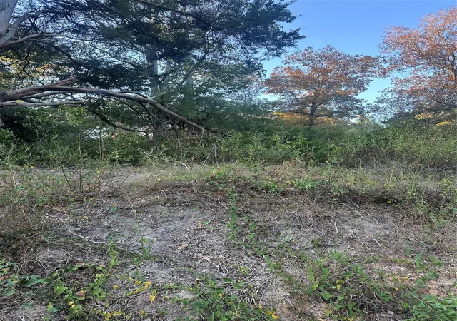 Photo 1 of Sale Pending at 676 Patricia Dr, Livingston, TX 77351 | MLS# 72841963 | Listing updated on 2026-08-05